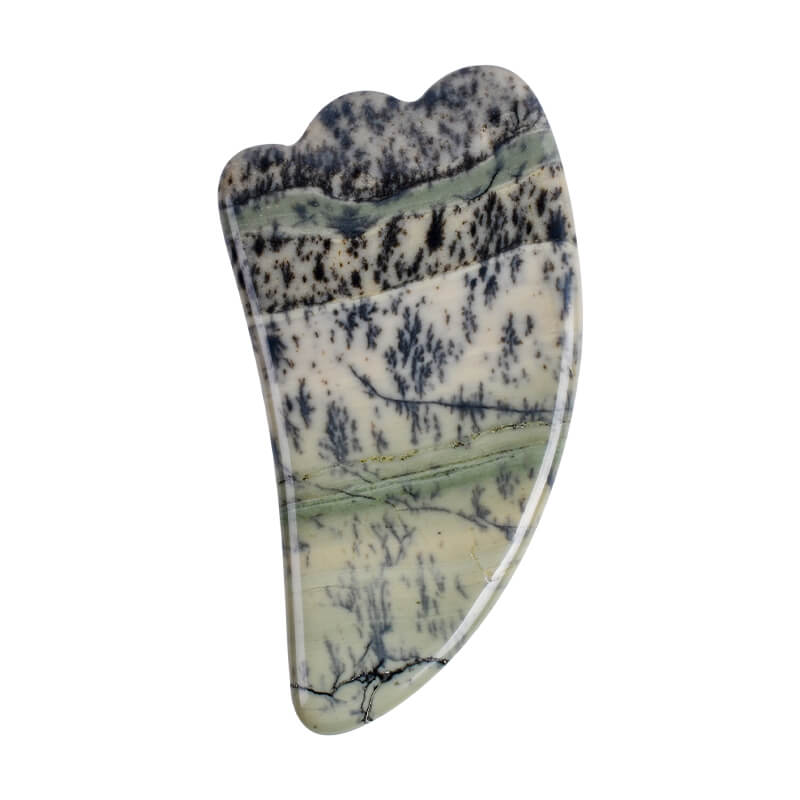 Grass Fossils Gua Sha Tools | V & Horn ShapedGuasha Massgaer for Face - yuelf